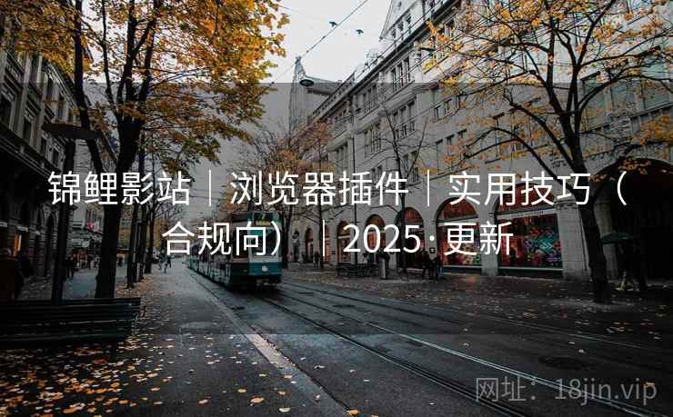 锦鲤影站|浏览器插件|实用技巧(合规向)|2025·更新  第2张 锦鲤影站|浏览器插件|实用技巧(合规向)|2025·更新  第2张