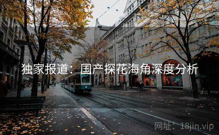 独家报道:国产探花海角深度分析