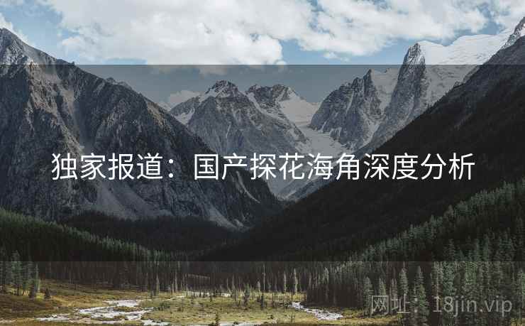 独家报道:国产探花海角深度分析