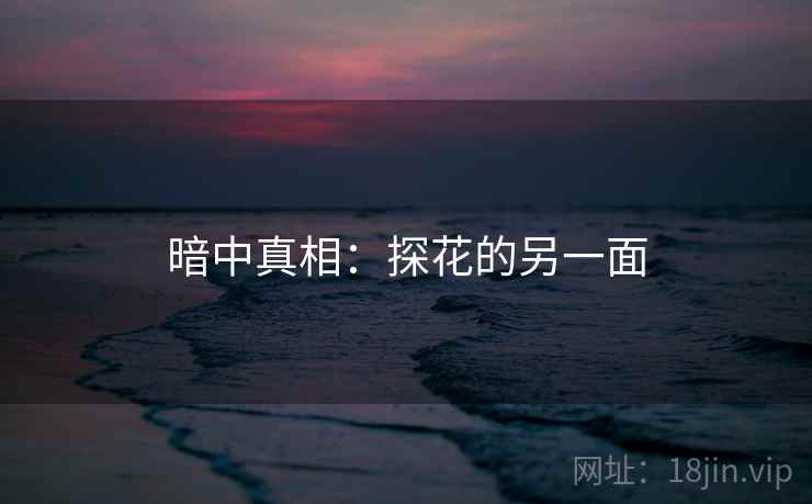 暗中真相:探花的另一面