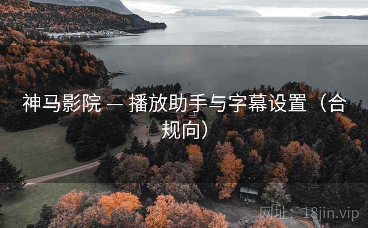 神马影院 — 播放助手与字幕设置(合规向)