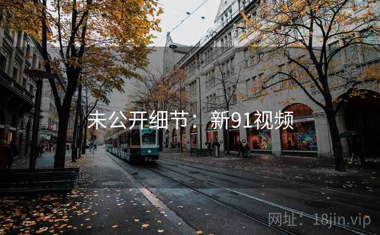 未公开细节：新91视频