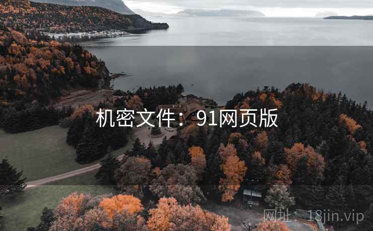 机密文件:91网页版