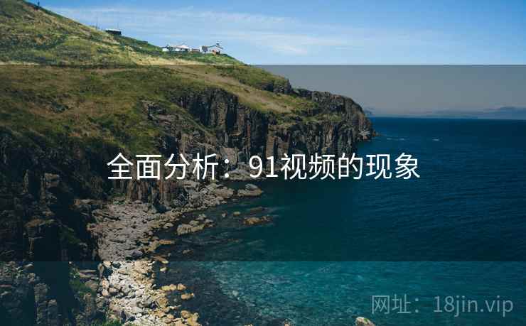 全面分析:91视频的现象
