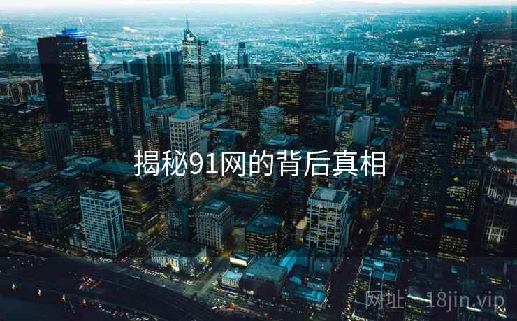 揭秘91网的背后真相