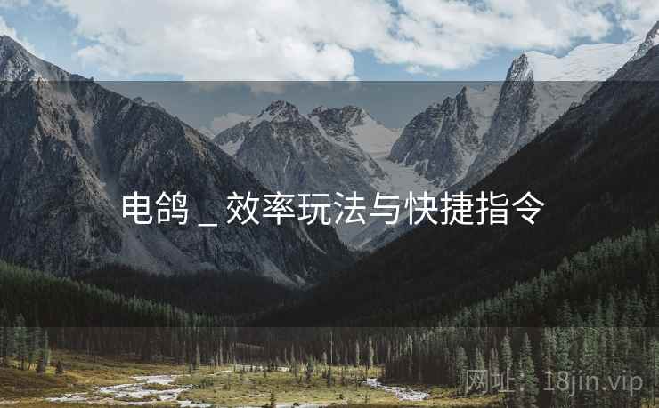 电鸽 _ 效率玩法与快捷指令